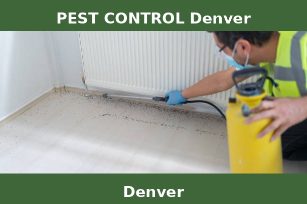 PEST CONTROL Denver